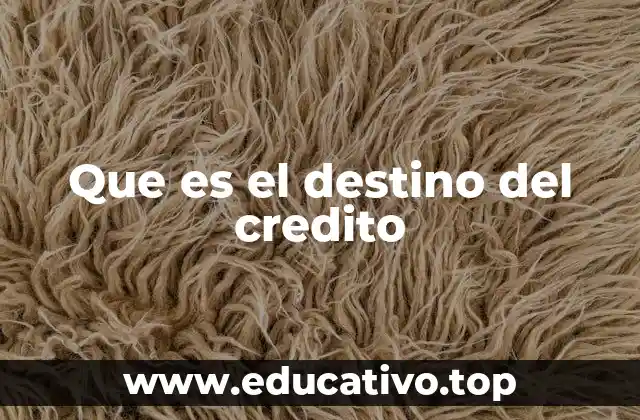 Que es el destino del credito