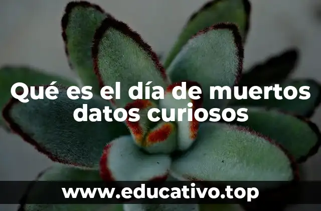 Qué es el día de muertos datos curiosos