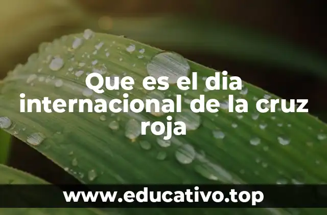 El legado humanitario detrás del Día de la Cruz Roja