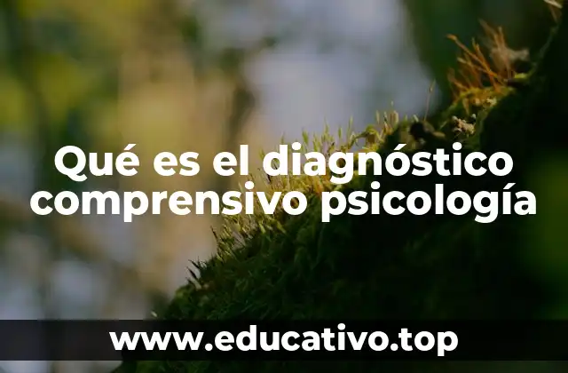 Qué es el diagnóstico comprensivo psicología