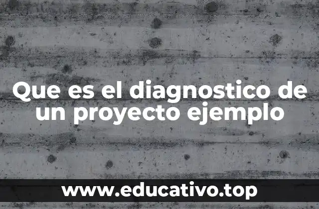 Que es el diagnostico de un proyecto ejemplo
