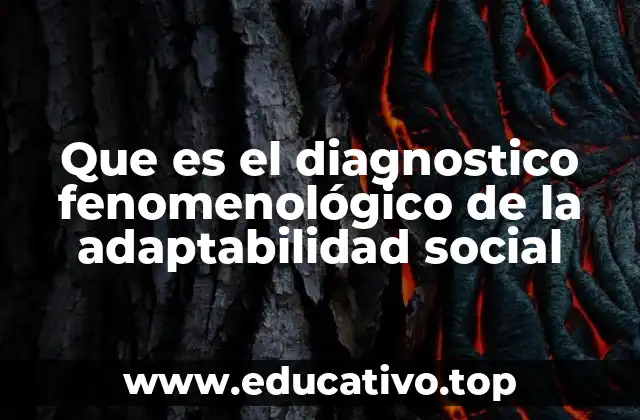 Que es el diagnostico fenomenológico de la adaptabilidad social