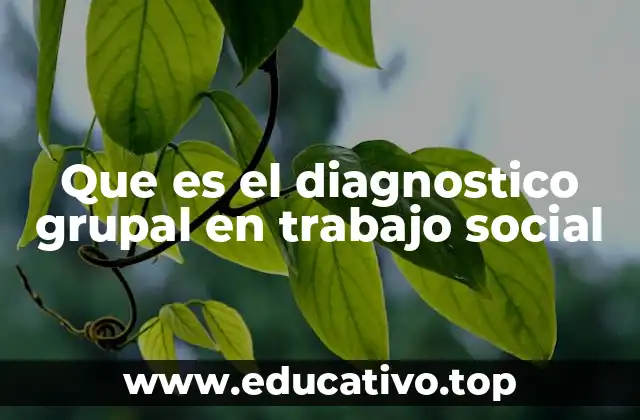 Que es el diagnostico grupal en trabajo social