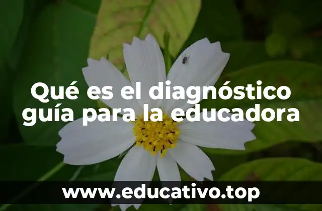 La importancia del diagnóstico guía en el aula