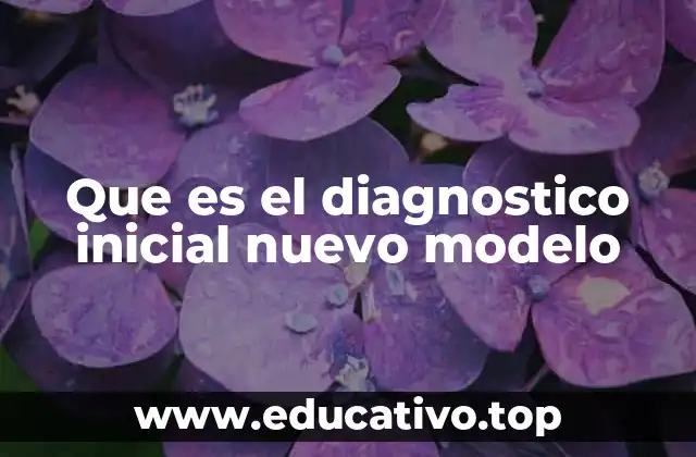 Que es el diagnostico inicial nuevo modelo