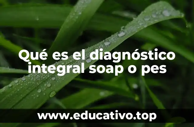 Qué es el diagnóstico integral soap o pes