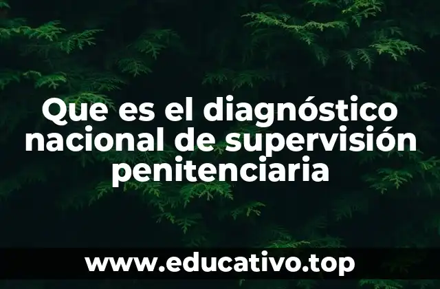 Que es el diagnóstico nacional de supervisión penitenciaria