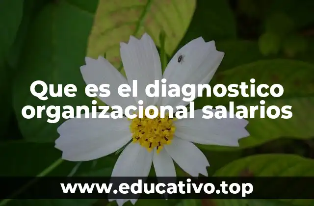 Que es el diagnostico organizacional salarios