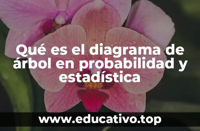 Qué es el diagrama de árbol en probabilidad y estadística