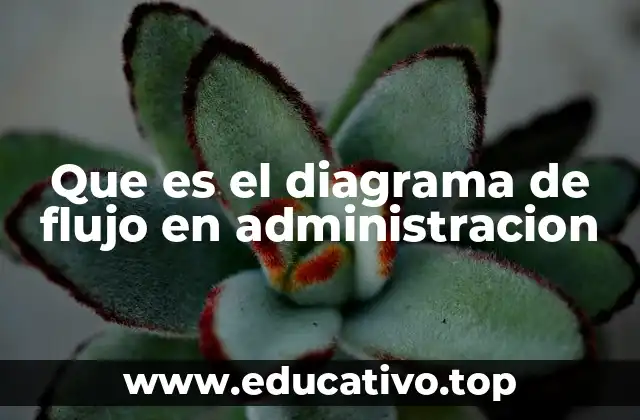 Que es el diagrama de flujo en administracion