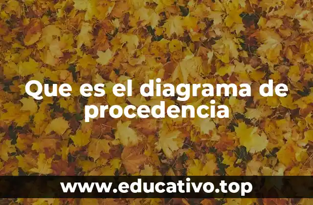 Que es el diagrama de procedencia