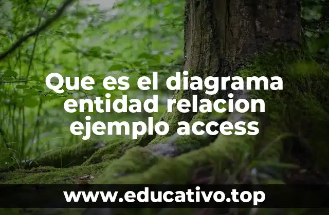 Que es el diagrama entidad relacion ejemplo access