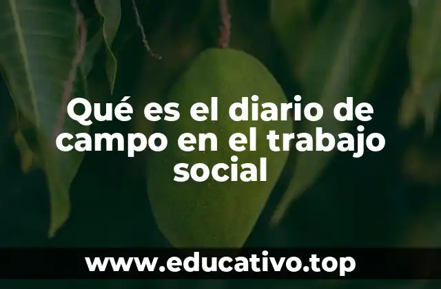 Qué es el diario de campo en el trabajo social