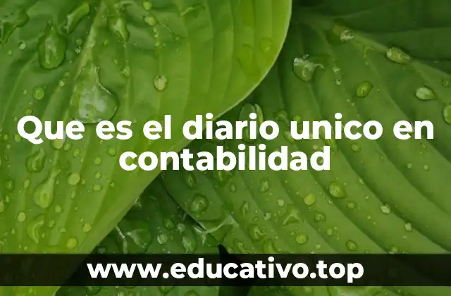 Que es el diario unico en contabilidad