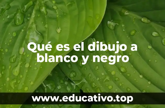 El arte de la simplicidad: cómo el blanco y negro define la expresión artística