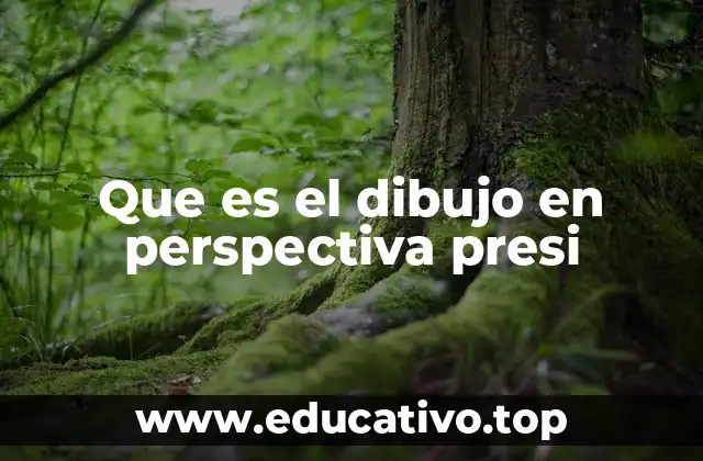 Que es el dibujo en perspectiva presi