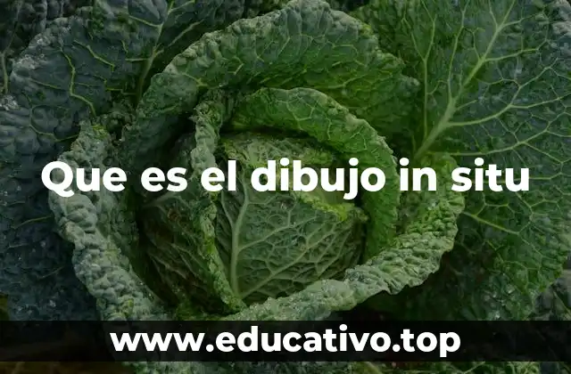 Que es el dibujo in situ