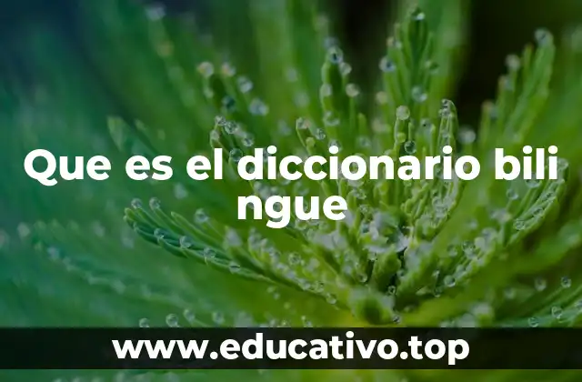 Que es el diccionario bili ngue