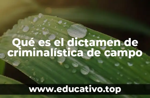 Qué es el dictamen de criminalística de campo