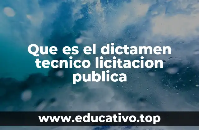 El papel del dictamen técnico en la gestión estatal