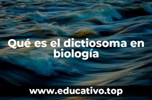 Qué es el dictiosoma en biología