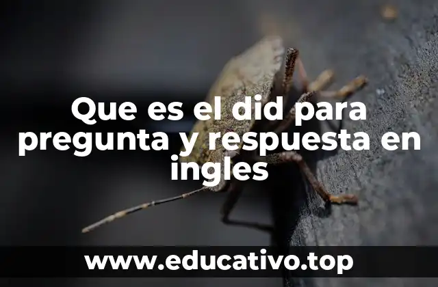 Que es el did para pregunta y respuesta en ingles