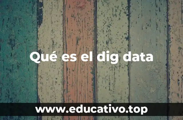 Qué es el dig data