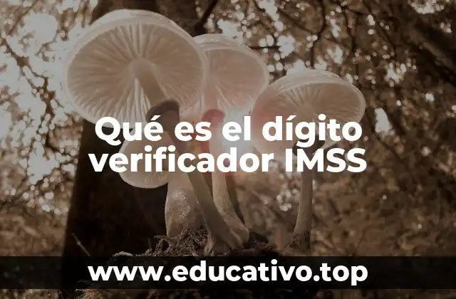 Qué es el dígito verificador IMSS
