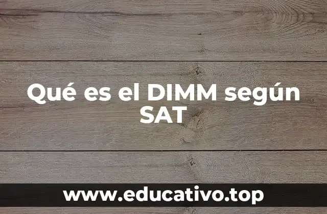 Qué es el DIMM según SAT