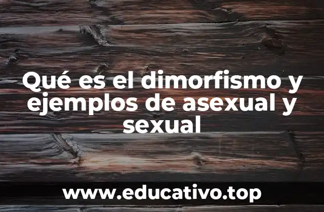 Qué es el dimorfismo y ejemplos de asexual y sexual