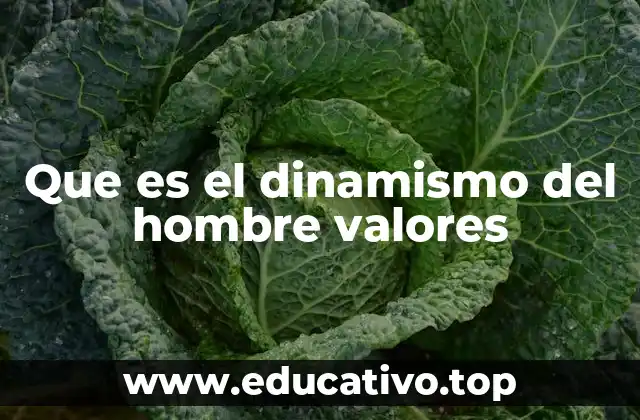 Que es el dinamismo del hombre valores