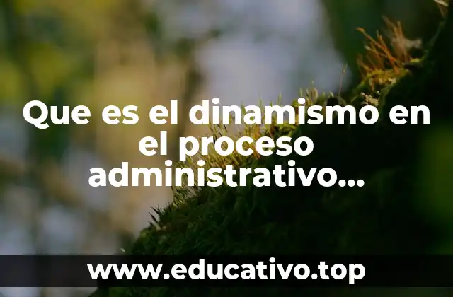 Que es el dinamismo en el proceso administrativo enfermeria