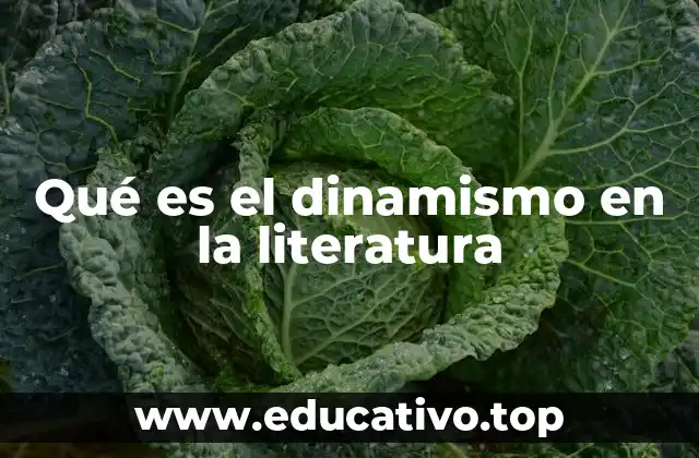 Qué es el dinamismo en la literatura
