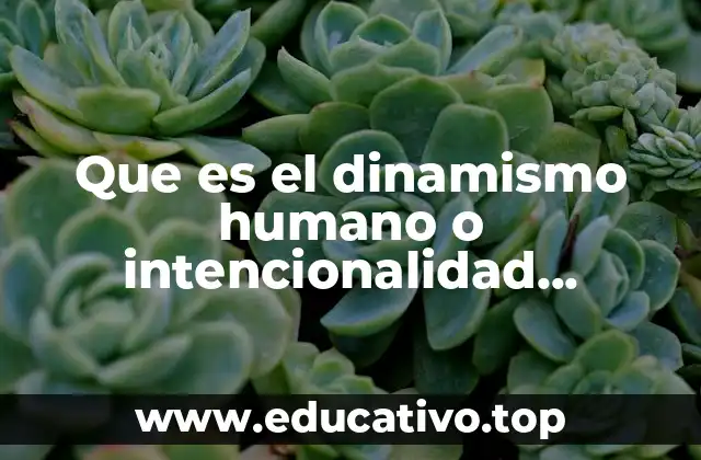 Que es el dinamismo humano o intencionalidad ontológica