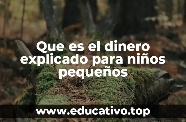 Que es el dinero explicado para niños pequeños