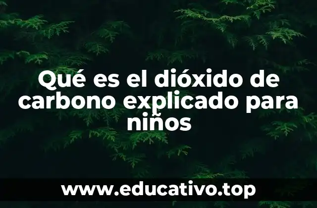 El dióxido de carbono y la naturaleza