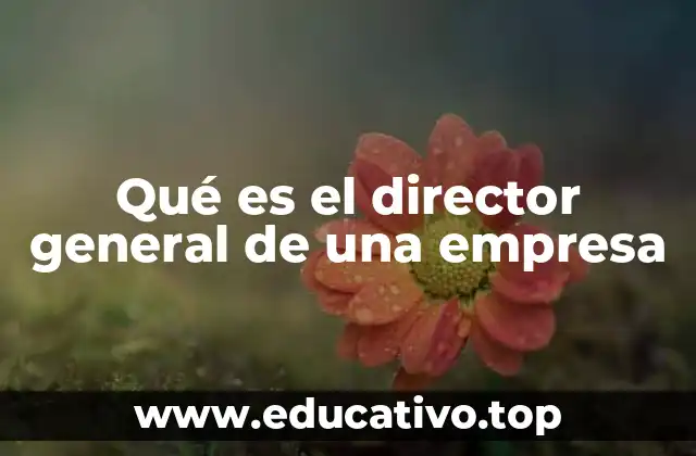 Qué es el director general de una empresa