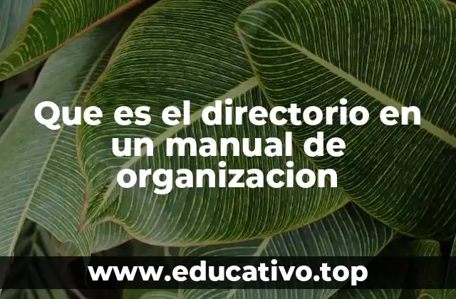 Que es el directorio en un manual de organizacion