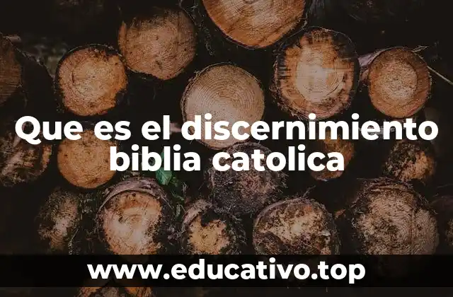Que es el discernimiento biblia catolica