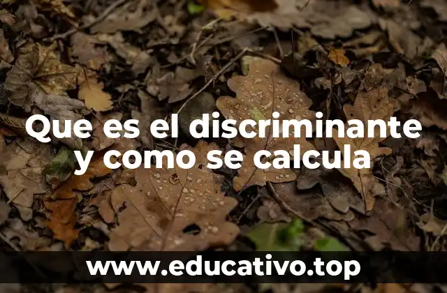 Que es el discriminante y como se calcula