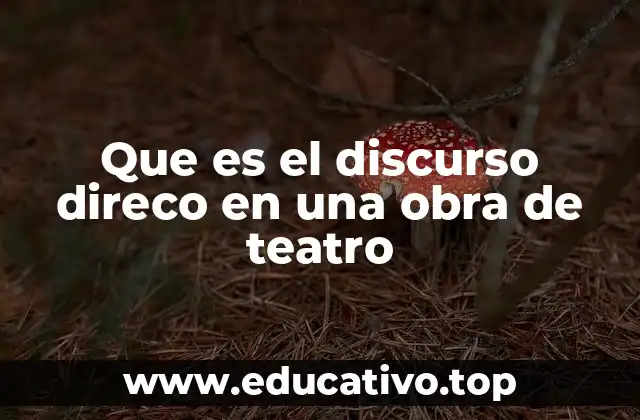 Que es el discurso direco en una obra de teatro