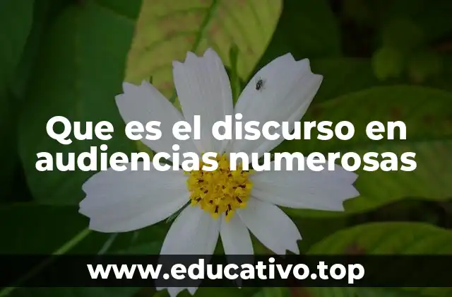 Que es el discurso en audiencias numerosas