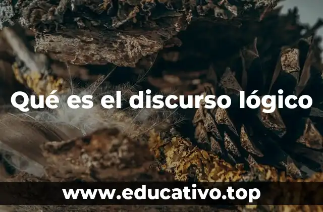 Qué es el discurso lógico