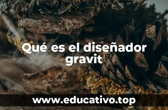 Qué es el diseñador gravit