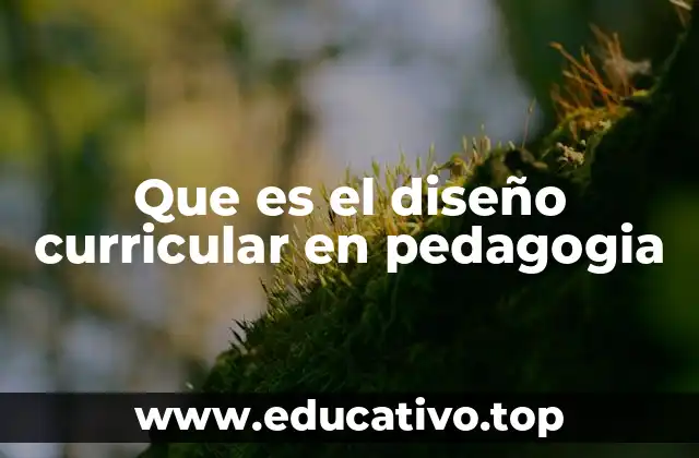 La importancia del diseño curricular en la formación educativa