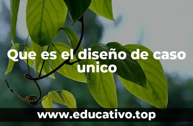Que es el diseño de caso unico