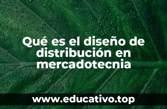 Qué es el diseño de distribución en mercadotecnia