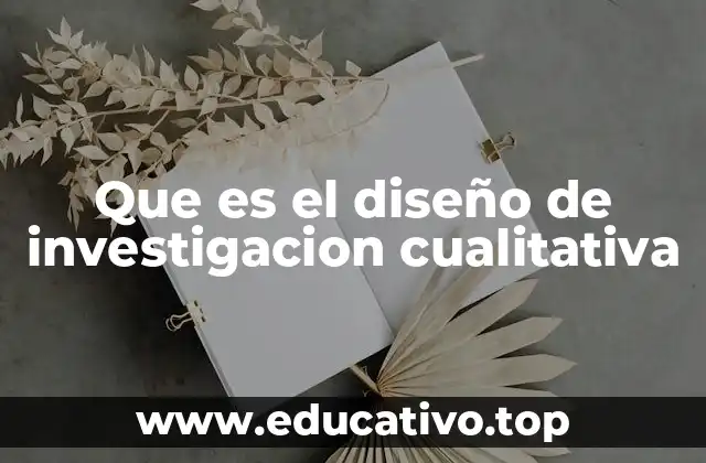 Diseños metodológicos en investigación social no cuantitativa