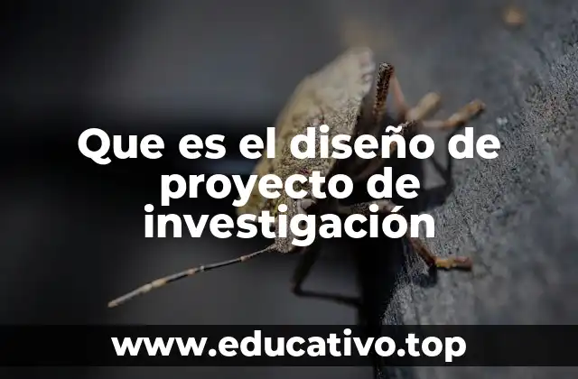 Que es el diseño de proyecto de investigación