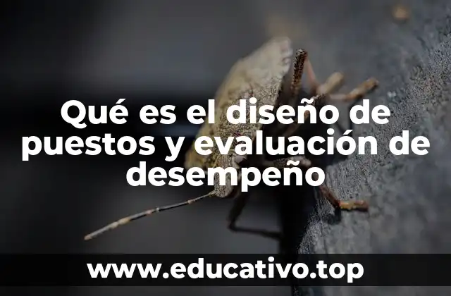 Qué es el diseño de puestos y evaluación de desempeño